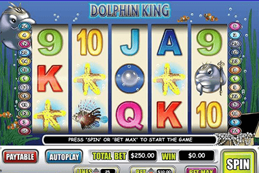 slot Dolphin King