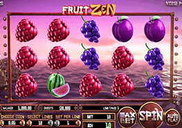 Fruit Zen tragamonedas