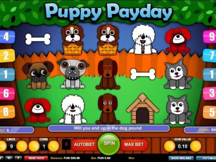 puppy paydays